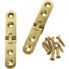 Twin Pin Sewing Machine Hinges - Select Option -Carpentry Shop 30897 01 1000