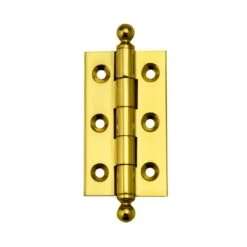 Narrow Ball Tip Extruded Hinges 2'' L X 1-1/8'' W