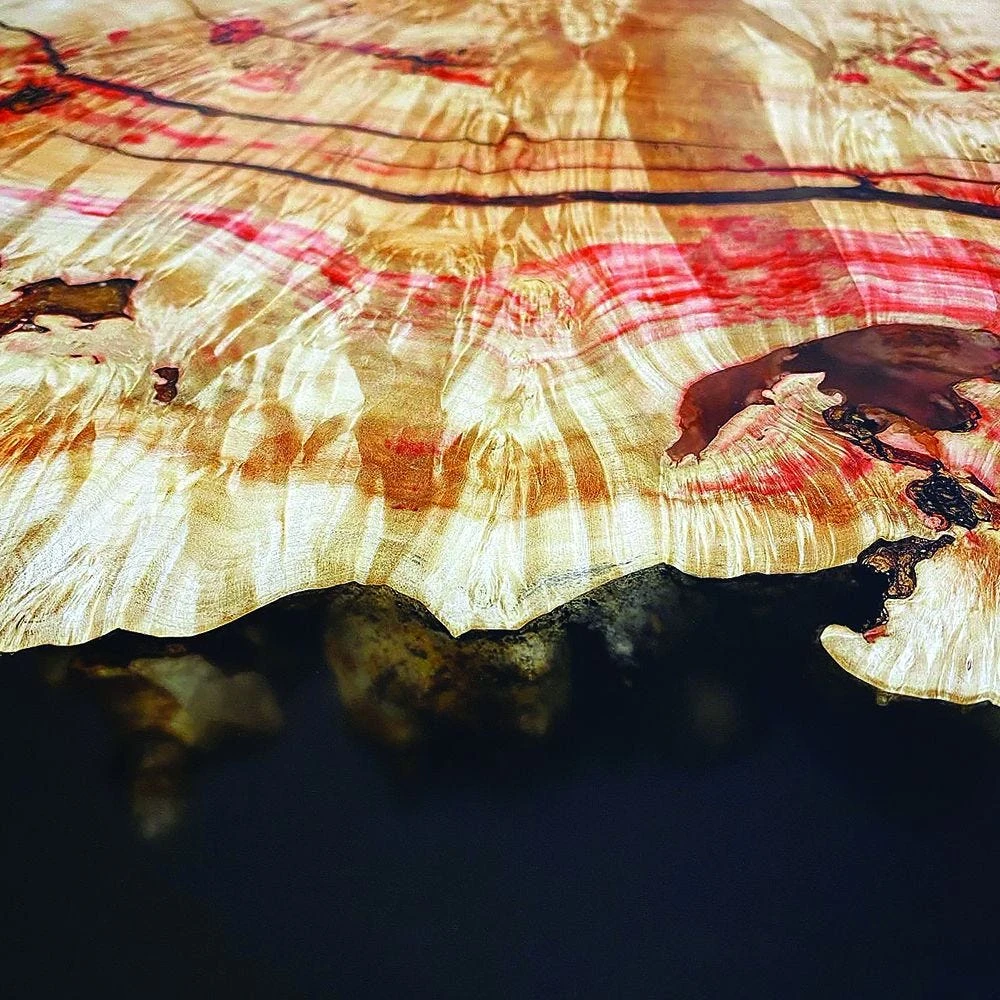 Odie's Oil, 9 Oz. 8 Odie's Oil, 9 Oz. - Image 6